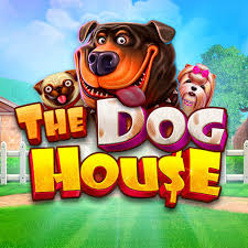 Big win animation on gamedd slot Jogo